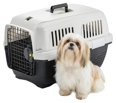 Produktbild von Ferplast Trasportino Gatto CLIPPER 2, IATA, Trasportino Cane Taglia Piccola e Ga