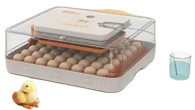 Produktbild von Brutkasten, Hochwertige Kunststoffkonstruktion, Abmessungen 42 x 30 x 24 cm, Hält bis zu 56 Eiern, Temperaturregelung 20°C bis 40°C, Einstellbare Luftfeuchtigkeitskontrolle