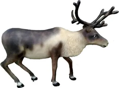 Produktbild von Designer Rentier Deko Tier Figur Winterdeko Höhe 160x200 cm Elch Dekoration Neu