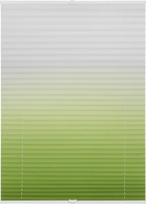 Produktbild von Plissee Klemmfix, ohne Bohren, verspannt, Farbverlauf Grün Weiß 110 cm x 1