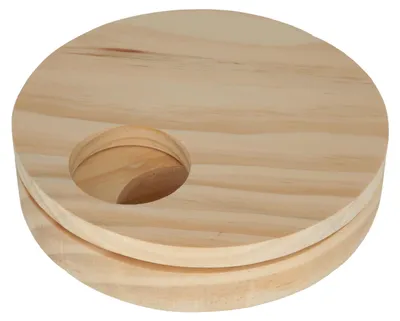 Immagine prodotto di Giocattolo educativo per roditori Disco girevole, ø 19 cm