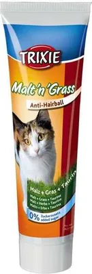 Produktbild von TRIXIE 42739, Katze, Adult, Gras, 100 g