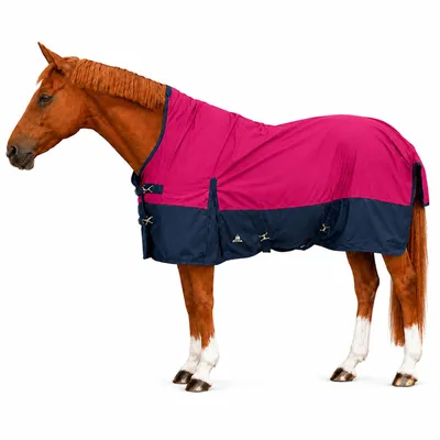 Produktbild von Winterdecke Caruso Turnout 1680D 100GSM - Raspberry/Navy Größe (Pferdedecke) - 165 cm