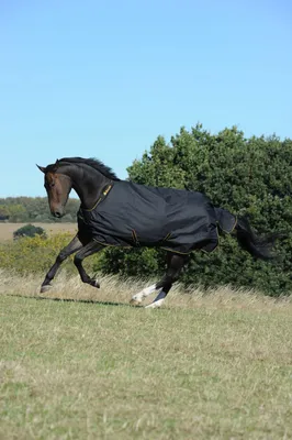 Produktbild von Bucas Irish Turnout Light 1200 DEN Regendecke schwarz 145