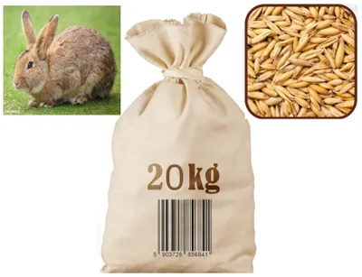 Zdjęcie produktu dla Owies paszowy 20kg Agro Bracia