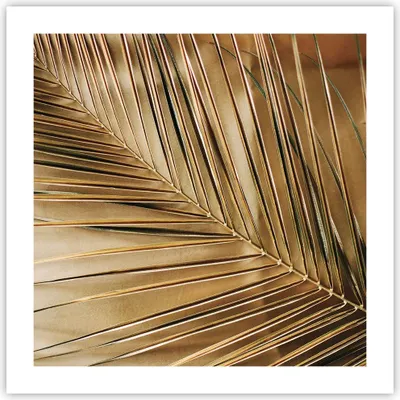 Produktbild von Poster - Poster ohne Rahmen - Blatt Gold Pflanze - 50x50 cm - Wand Bild - Wanddeko - Wandbilder - Kunstposter - Wandposter - Bilder - Kunstdruck - Wanddekoration - Wandbild - P2XAC50x50-5041