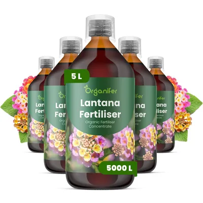Obrázok produktu pre Lantana, tekuté hnojivo, 5 x 1 liter – vzťah živín NPK: 2-1-8 – pre nepretržité kvitnutie, silné stonky a zdravé rastliny – organické
