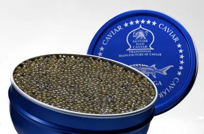 Produktbild von Sepehr Dad Amur Beluga Kaviar | A Class Fischrogen | Zucht CN | 500g
