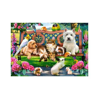 Produktbild von Puzzle Castorland - Domáce zvieratá v parku, 1000 dielikov