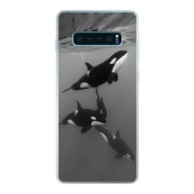 Produktbild von MuchoWow® Handyhülle Schutzhülle Hülle für Samsung Galaxy S10 Plus Orca - Wasser - Schwarz - Weiß Silikon Softcase Handy Hülle - Schutzhülle