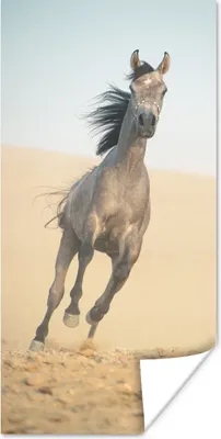 Produktbild von MuchoWow® Poster Pferd - Sand - Wüste 20x40 cm - Plakat - Foto