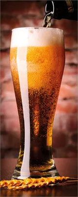 Produktbild von Wallario selbstklebendes Poster - Frisches Pils, Größe: 50 x 125 cm