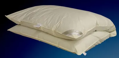 Produktbild von Hofmann Franken Winter Oberbett Daunenbett Ballonbett 155x220 cm, 100% Daunen, 2000g
