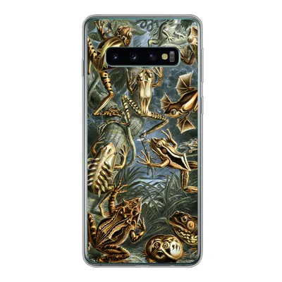 Produktbild von MuchoWow® Handyhülle Schutzhülle Hülle für Samsung Galaxy S10 Batrachia - Haeckel - Alte Meister Silikon Softcase Handy Hülle - Handytasche