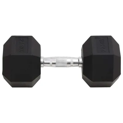 Produktbild von vidaXL Kurzhantel 27,5 kg Gusseisen