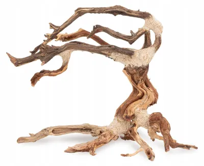 Obrázok produktu pre Dekoračné akvárium, bonsai 35 x 25 cm, akvascaping