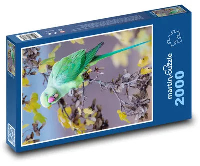 Produktbild von Puzzle 2000 Grüner Papagei auf einem Ast - martinpuzzle