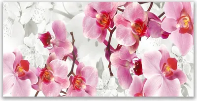 Produktbild von Tulup Leinwand-Bilder 140x70 Wandbild Canvas Kunstdruck Blumen Pflanzen