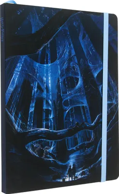 Produktbild von Harry Potter: Aragog Softcover Notebook