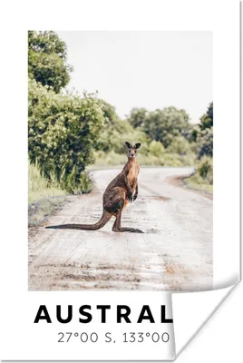 Produktbild von MuchoWow® Poster Australien - Känguru - Natur 120x180 cm - Kunstposter