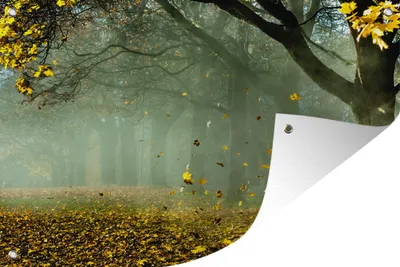 Produktbild von MuchoWow® 90x60 cm Outdoor-Poster Gartendeko Sichtschutz Garten Poster für den Garten  Baum - Grün - Blätter