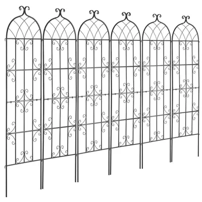 Productafbeelding van Klimplantensteun, duurzaam metalen ontwerp, decoratieve spaliervorm, zwart