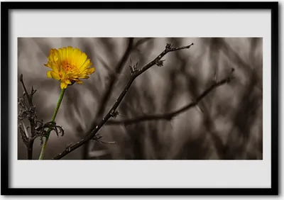 Produktbild von Bild 70x50 MDF-Rahmen Wandkunst Zweig Blume