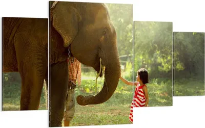 Produktbild von Bild auf Leinwand - Leinwandbild - Elefant Tier - 160x90cm - Wand Bild - Wanddeko - Wandbilder - Leinwanddruck - Bilder - Kunstdruck - Wanddekoration - Leinwand bilder - Wandkunst - DL160x90-3884