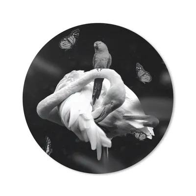 Produktbild von MuchoWow® Mauspad Mousepad Flamingo - Tiere - Natur - Schwarz - Weiß 20x20 cm - Mousepads - Maus Mat - Pad - Mausunterlage - Schreibtischmatte