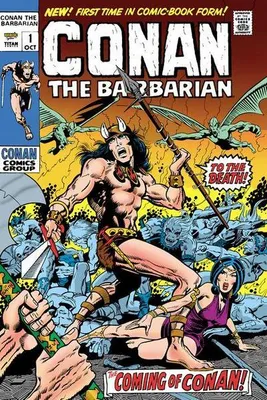 Produktbild von Conan the Barbarian: The Original Comics Omnibus Vol.1