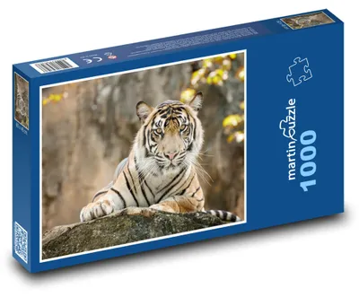Obrázek produktu pro Puzzle 1000 Majestátní tygr v džungli - martinpuzzle