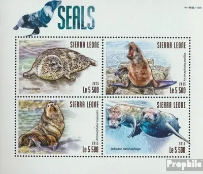 Produktbild von Briefmarken Sierra Leone 2015 Mi 6387-6390 Kleinbogen (kompl. Ausg.) postfrisch Seehunde