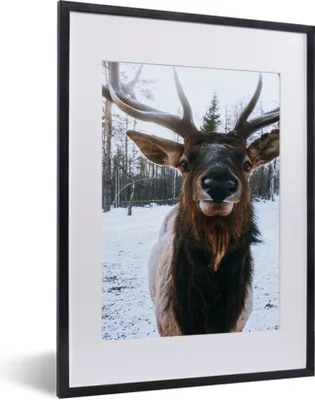 Produktbild von MuchoWow® MuchoWow® Gerahmtes Poster Hirsche - Geweihe - Schnee 30x40 cm - Poster mit zchwarzem Bilderrahmen - Wandposter Schlafzimmer