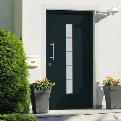 Zdjęcie produktu dla Drzwi wejściowe Living Store aluminium i PVC antracyt 110x210 cm