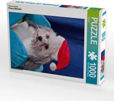 Produktbild von Calvendo Ein Motiv aus dem Kalender Funny Bolonka 1000 Teile Puzzle hoch 480x640mm, CALVENDO; 7293141