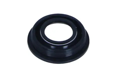 Produktbild von MAXGEAR Dichtung Düsenhalter 70-0154 für VW GOLF VI (5K1)