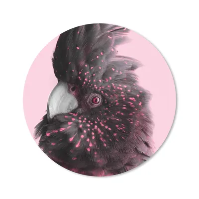 Produktbild von MuchoWow® Mauspad Mousepad Kakadu - Rosa - Schwarz 20x20 cm - Mousepads - Maus Mat - Pad - Mausunterlage - Schreibtischmatte