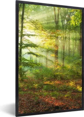 Produktbild von MuchoWow® Gerahmtes Poster Sonne - Wald - Bäume - Natur - Herbst 60x90 cm - Poster mit Schwarzem Bilderrahmen Wandposter Rahmen Foto Bilder - Kunst