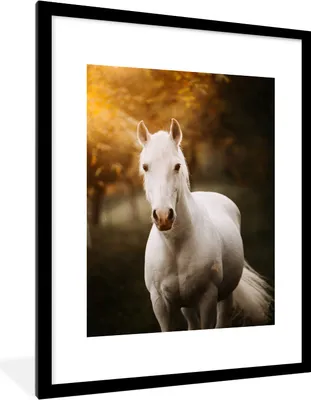 Produktbild von MuchoWow® Gerahmtes Poster Pferd - Licht - Sonne 60x80 cm - Poster mit Schwarzem Bilderrahmen Wandposter Rahmen Foto Bilder - Wohnzimmer - Dekorationen - Prämie