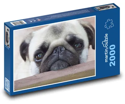 Obrázek produktu pro martinpuzzle - Puzzle 2000 - Pes mops
