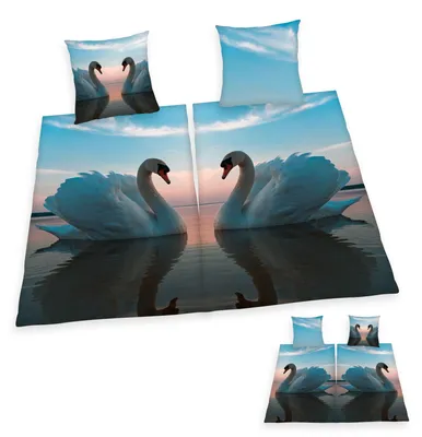 Produktbild von Partner Bettwäsche 4tlg. Schwanenpaar 135x200 cm (80x80 cm)  100% Baumwolle