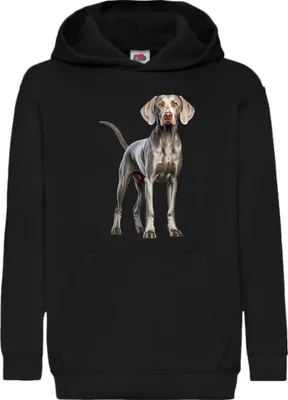 Zdjęcie produktu dla Dziecięca Bluza Z Kapturem Dogs Breeds Weimaraner Dog Breed 005, 5-6 Jahr - 116 / Czarny