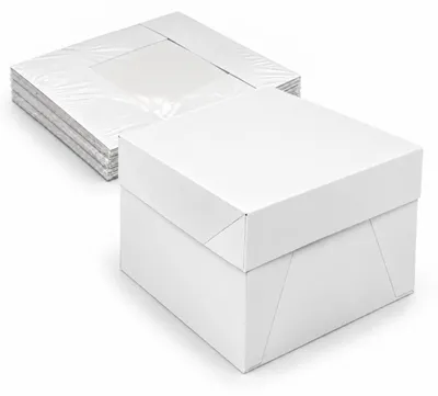 5 weiße Kuchenboxen mit Deckel, 20,3 x 20,3 x 15,2 cm