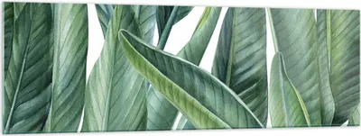 Produktbild von Bilder auf glas - Einteilig - Exotisch Blätter Grün - 160x50cm - Glasbilder - Wandbilder - Bilder - zum Aufhängen bereit - Wanddekoration aus Glas - Glas Bilder - Wandbild auf Glas - GAB160x50-4258