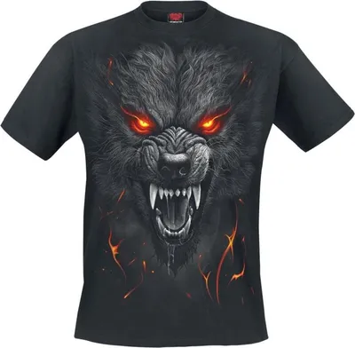 Produktbild von Spiral T-Shirt Herren Darkest Fear T-Shirt schwarz XXL