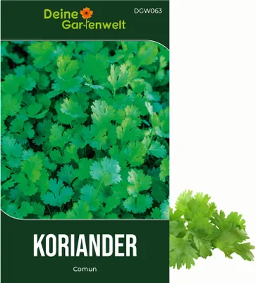Produktbild von Koriander Comun Samen - Coriandrum sativum - Koriandersamen - Kräutersamen - Saatgut für 50 Pflanzen
