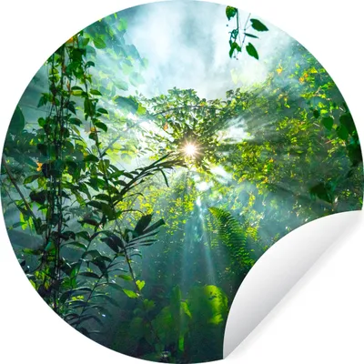 Produktbild von MuchoWow® Runde Wandtattoo - Wandsticker Tapete Aufkleber Die Sonne scheint durch die Wälder eines Regenwaldes in Malaysia Ø 30 cm Selbstklebend und Repositionierbar - Wandaufkleber - Kreis - Wandbild - Fototapete - Selbstklebend - Dekoration - Wandschmuck - Schlafzimmer