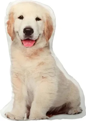 Produktbild von Personalisiertes 3D Haustier Hund Katze Kissen FOTOGESCHENK mit eigenem Foto (50 x 35 cm) Foto-Kissen Bedrucken Zum Jahrestag, Geburtstag, Valentinstag (mit Füllung) 3D Tierkissen