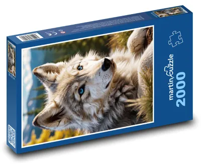 Obrázek produktu pro Puzzle 2000 Vlk s modrýma očima - martinpuzzle
