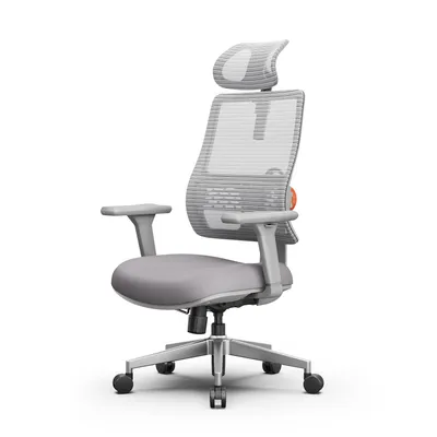 Image de Newtral H003 Chaise de bureau ergonomique, chaise de bureau à dossier haut avec soutien lombaire adaptatif unique, appui-tête réglable Gris